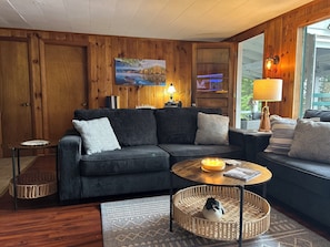 TV connectée, cheminée, livres