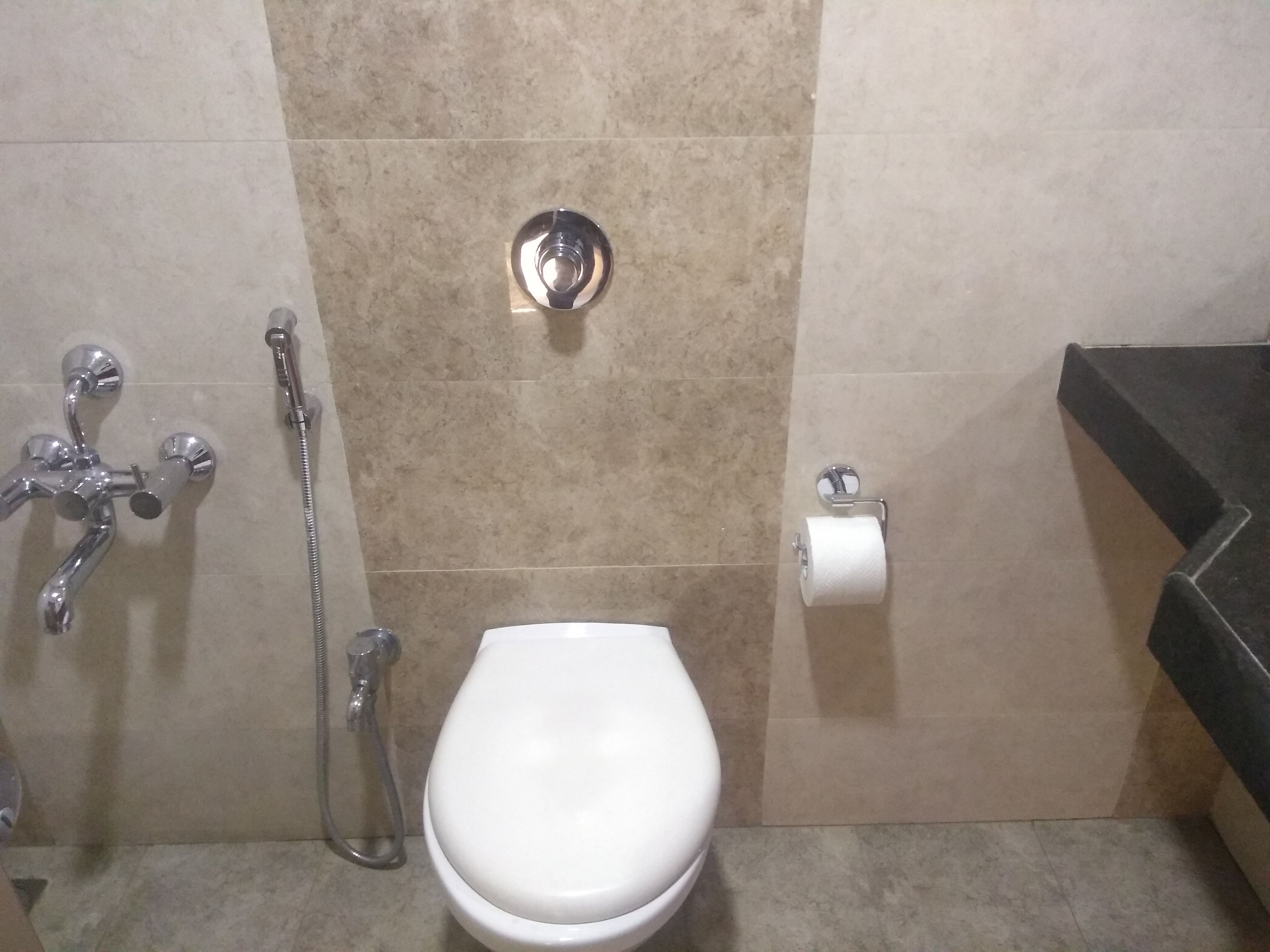 A bathroom with a white toilet, a handheld showerhead, and a toilet paper holder on the wall.