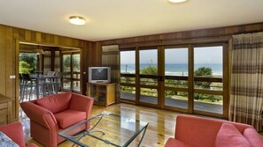 テレビ、暖炉、書庫