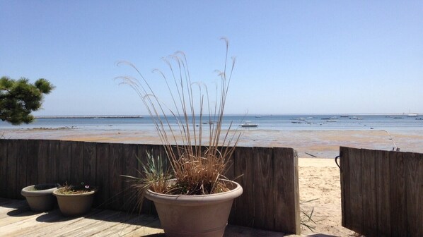 Une terrasse en bois agrémentée de plantes en pot, donnant sur une plage où se trouvent des bateaux.