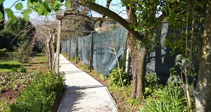 Quinta D'Avó Amélia - Casa do Forno