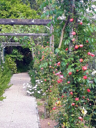 Quinta D'Avó Amélia - Casa do Forno