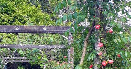 Quinta D'Avó Amélia - Casa do Forno