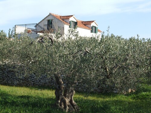 Lomatalo KATIA / Panoraamanäkymä / Suuri puutarha