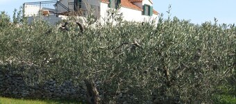 Holiday home KATIA / Panoramic view / Large garden