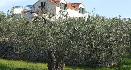 Lomatalo KATIA / Panoraamanäkymä / Suuri puutarha