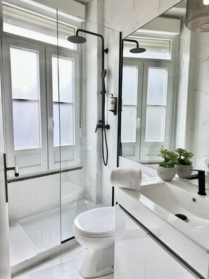 Shower, hair dryer, towels