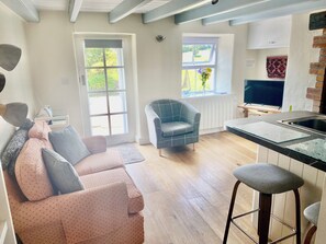 TV, fireplace, DVD player, books