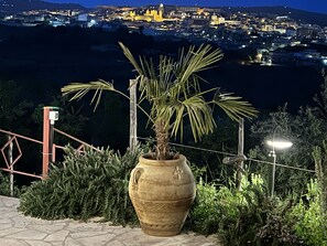 A night view of a cityscape with a large pot of palm tree in the foreground.