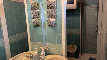 Shower, hair dryer, bidet, towels