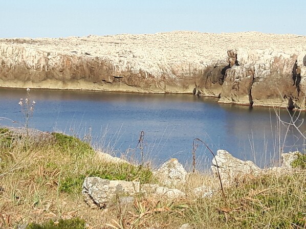 A natural landscape with a body of water, rocky terrain, and sparse vegetation. - Sea Frontline House With 180 Degree Panoramic Sea Views (Es Mercadal)