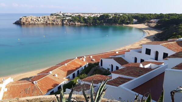 在海灘附近、躺椅