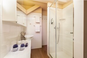Shower, hair dryer, towels