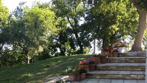 Un jardín con escalones que suben a un muro de ladrillo, rodeado de macetas con plantas y flores diversas.