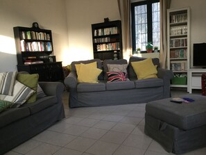 Televisión, chimenea, videojuegos y reproductor de DVD 