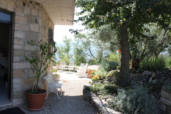 A quiet seat in the garden.