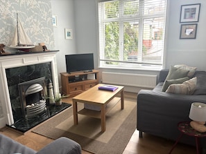 Smart TV, fireplace, DVD player, books