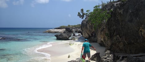 Tumbonas y toallas de playa