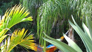 Hangstoel in een tuin met verschillende planten en een klein bootje.