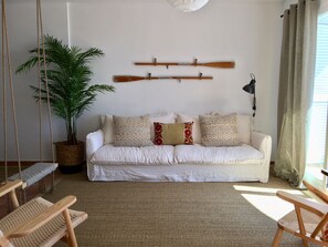 TV, DVD player, video library