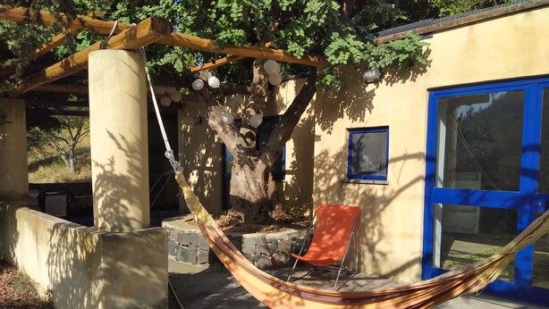 Un hamac sous un arbre, une porte bleue et un mur en béton.