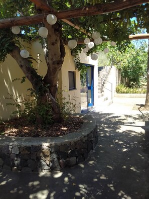Property grounds - House under a carob tree, among the vineyards in Salina (Leni)