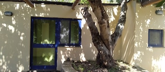 Casa sotto albero di carrubo, tra le vigne a Salina