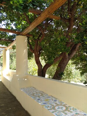 Property grounds - House under a carob tree, among the vineyards in Salina (Leni)