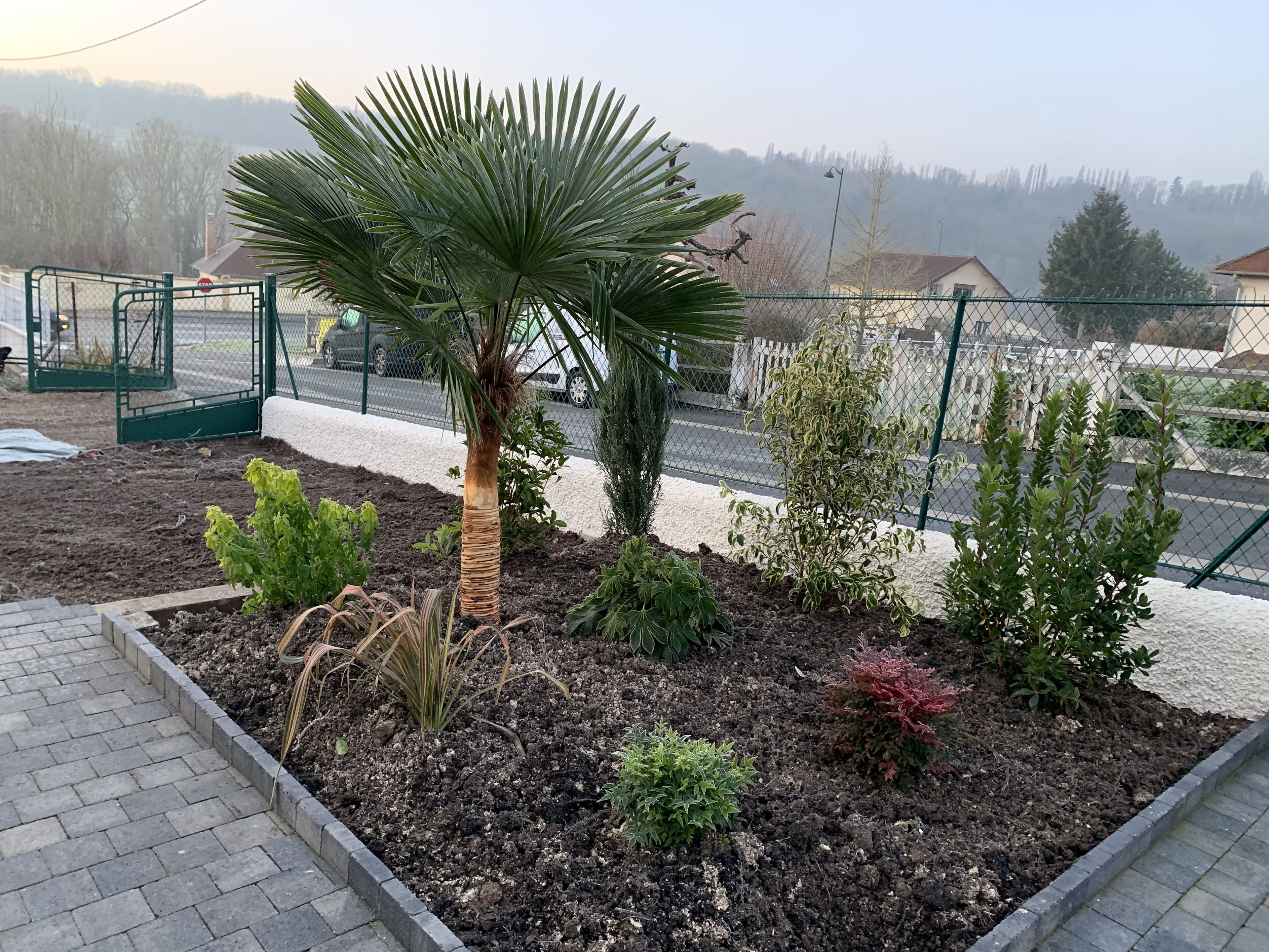 Un jardí amb diverses plantes i una palmera, envoltat d'una tanca i un camí pavimentat.