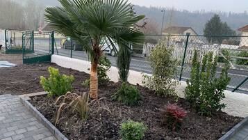 Un giardino con diverse piante e una palma, circondato da una recinzione e un vialetto lastricato.