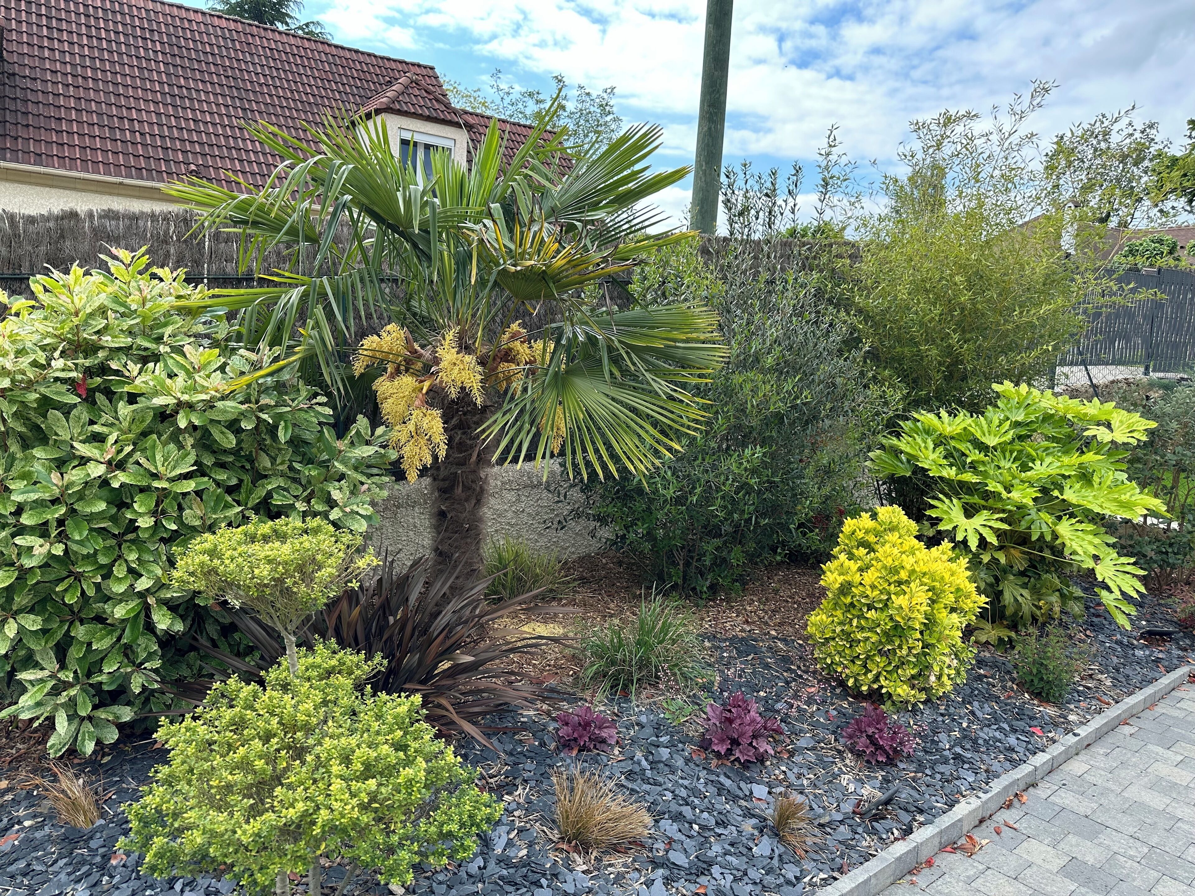 Un jardin avec différentes sortes de plantes et un mur en pierre.