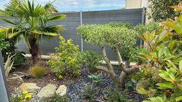 Un jardín con diferentes plantas, una palmera y un sendero de piedras.