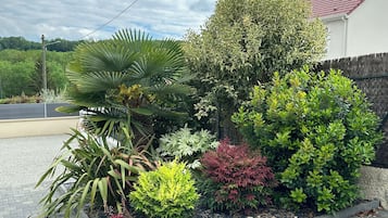 Un jardín ajardinado con diversas plantas y un camino pavimentado.