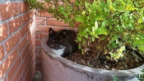 Unclassified image, 4 of 20, button