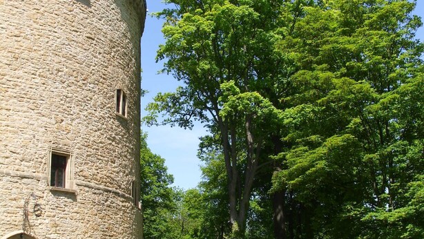 Une tour de pierre dotée d’une entrée arrondie, entourée d’une végétation luxuriante et surplombant un ciel dégagé.