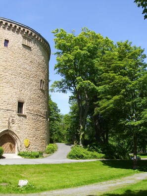 Ein steinerner Turm mit rundem Eingang, umgeben von üppiger Vegetation und blauem Himmel.