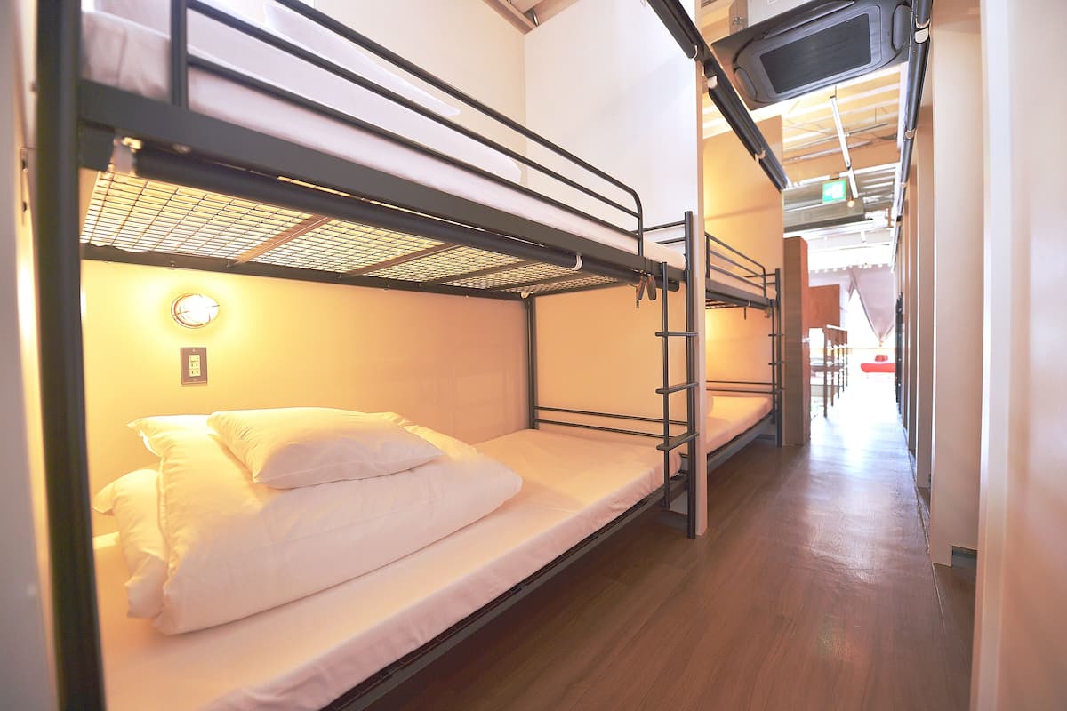Dormitorio compartido, dormitorio mixto | Caja fuerte y wifi gratis