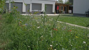 Een woongebouw met schuin dak, garage en een tuin met verschillende bloemen.