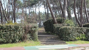 A set of stone steps leading up a hill, surrounded by dense greenery and tall trees. - Apartment with direct beach access (parking, Wi-Fi, near downtown)—check out the reviews! (Arcachon)