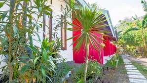 Un jardín con diversas plantas y un sendero que lleva a un edificio con pared roja.
