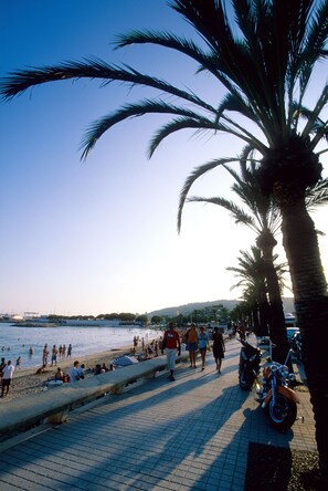 Playa en los alrededores 
