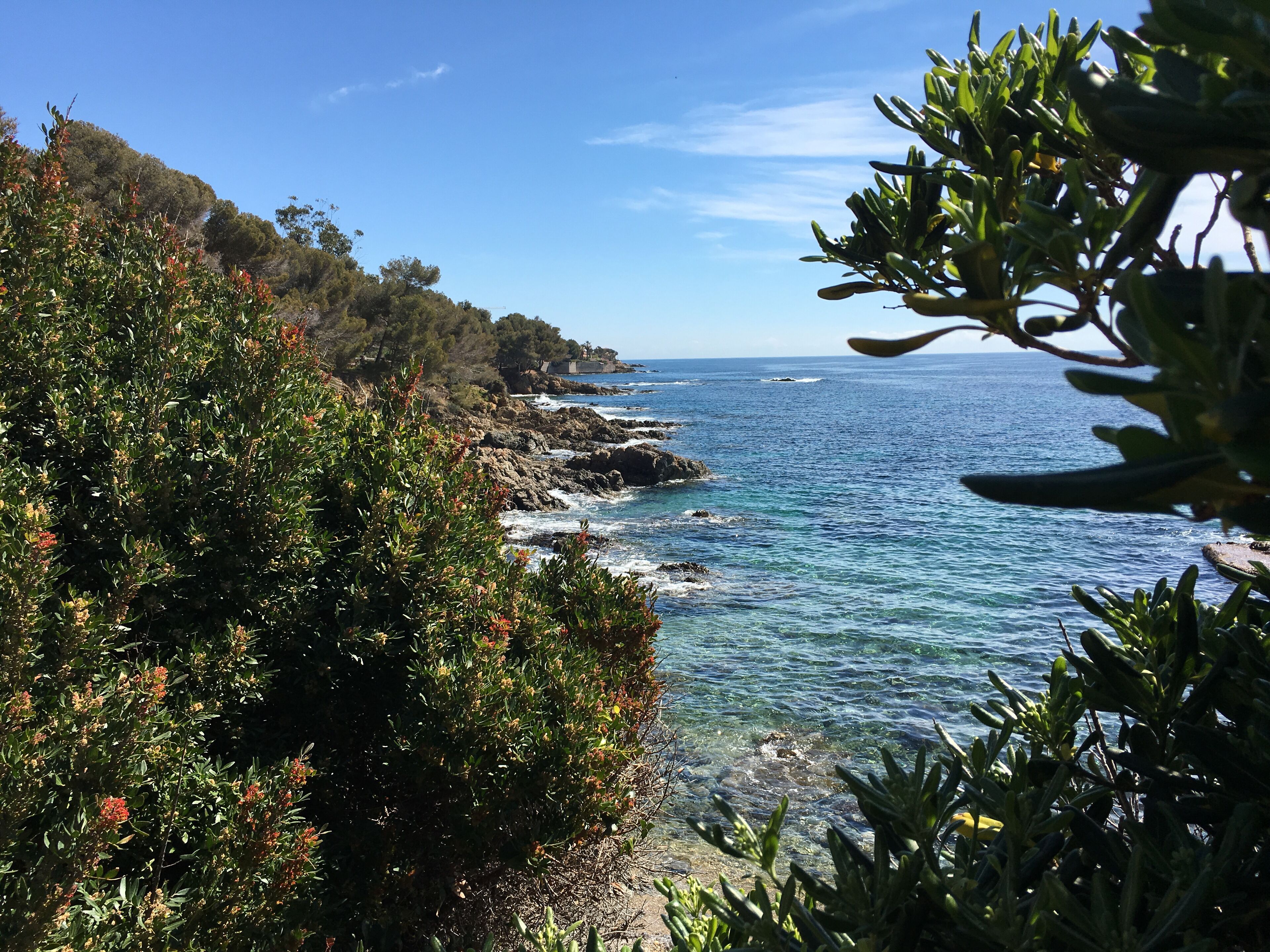 A coastal landscape with rocky cliffs, clear blue sea, and dense greenery.