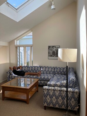 Smart TV, fireplace, DVD player, books