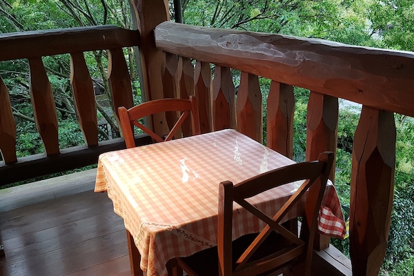 House | Terrace/patio