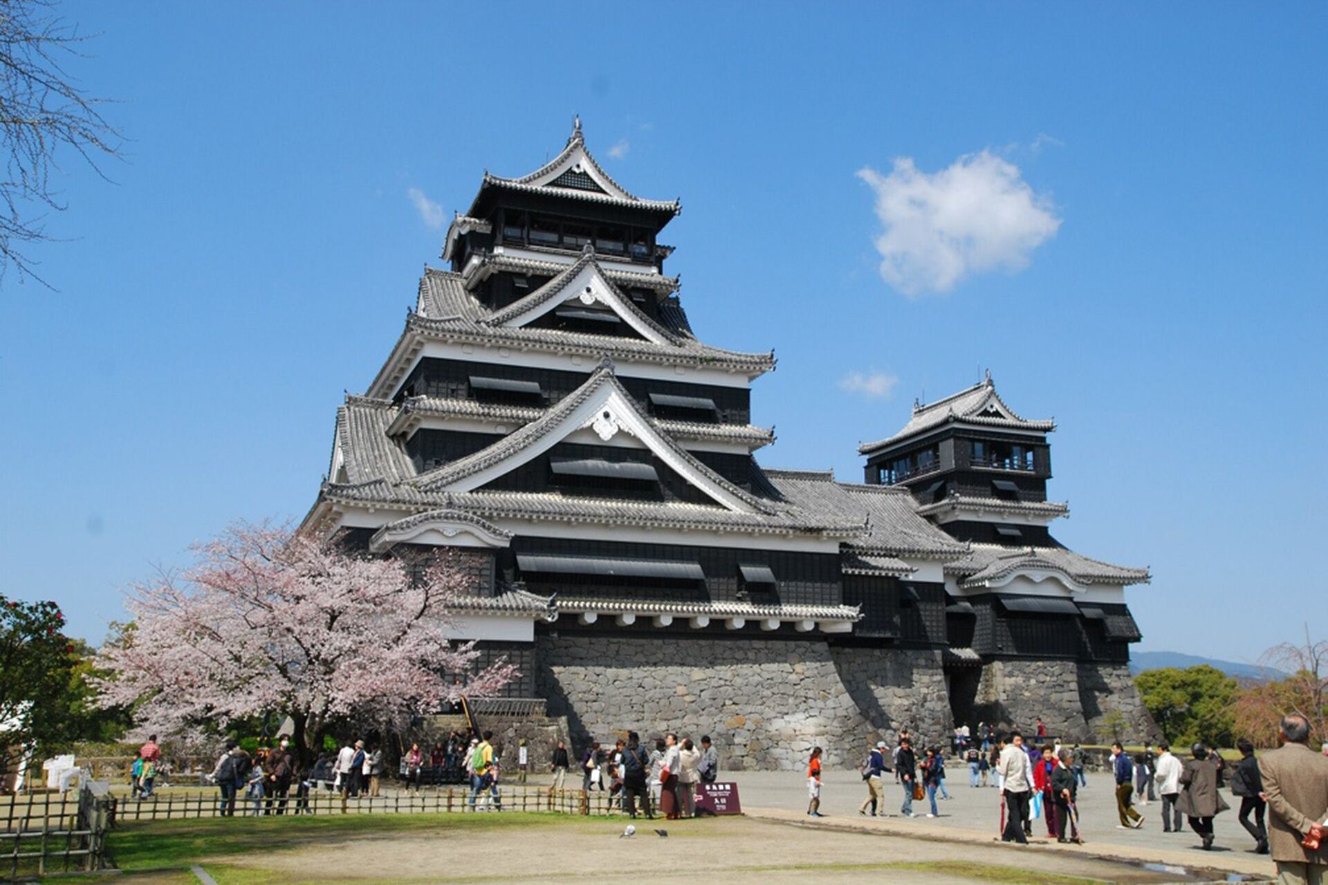 Een traditioneel Japans kasteel met meerdere verdiepingen en een stenen fundament, omringd door kersenbloesems en een menigte bezoekers.