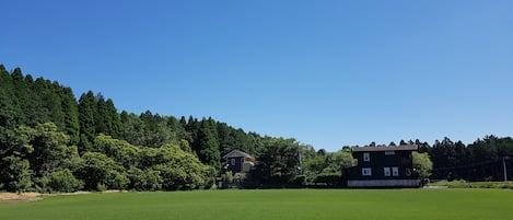 Vista da propriedade