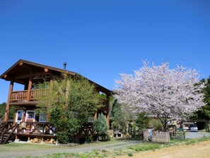 Property grounds - Lassy Condominium (Nishihara)