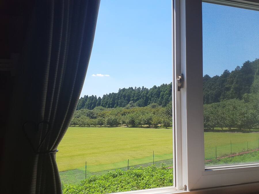 Janela com vista para um campo verde e árvores.
