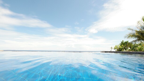 Piscina azul cristalina con vista al océano y una palmera.