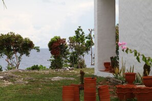 Property grounds - Oceanfront Spanish Villa - FREE Starlink Wi-Fi (Dauis)